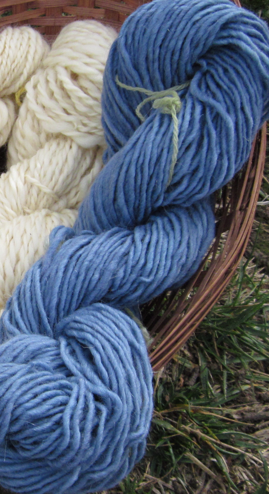 Natural dye tutorial: blue yarn from black beans!